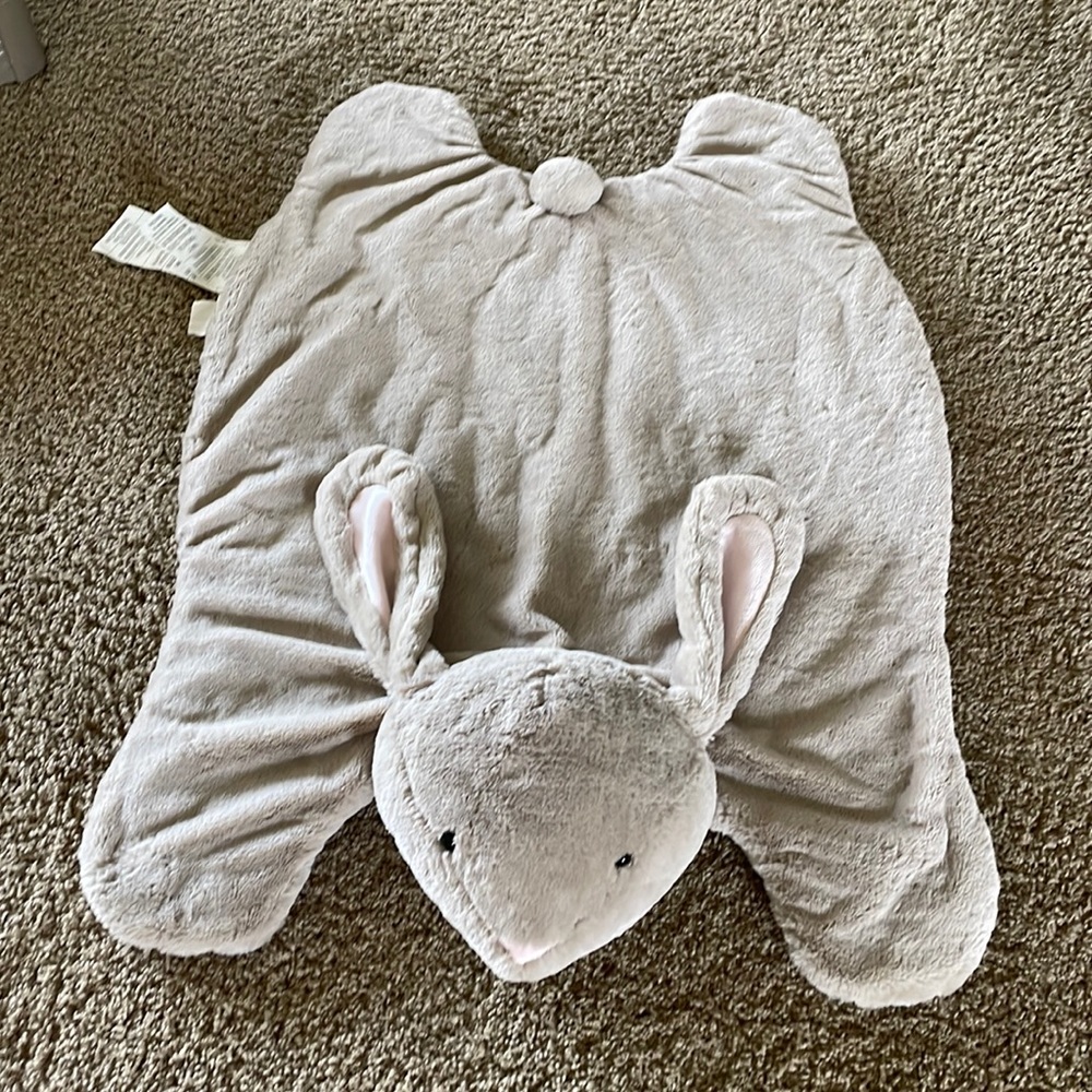 Pottery Barn Kids Plush Baby Play Mat